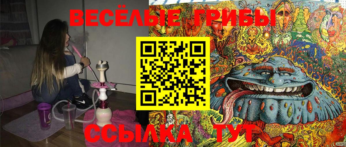 Галлюциногенные грибы мицелий Старая Русса